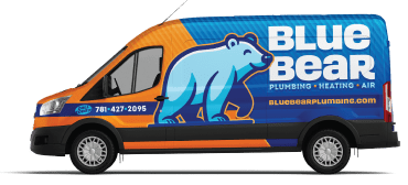 Contact Us Today - Blue Bear Services