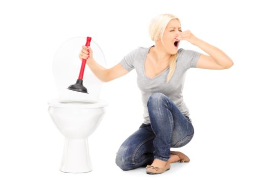 How to Unclog a Slow Draining Toilet  All American Plumbing, Heating & Air